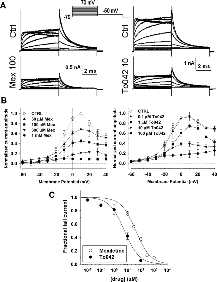 Fig. 6