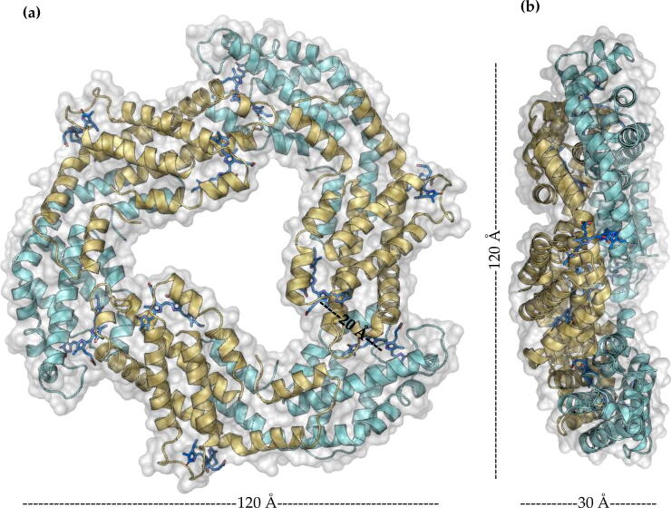 Fig. 6