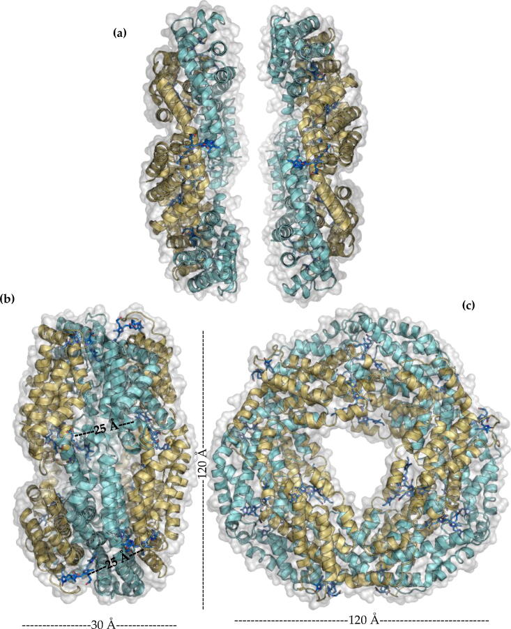 Fig. 7