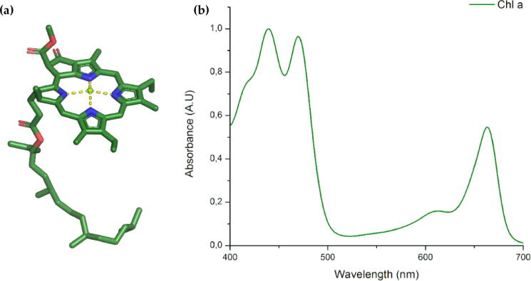 Fig. 1