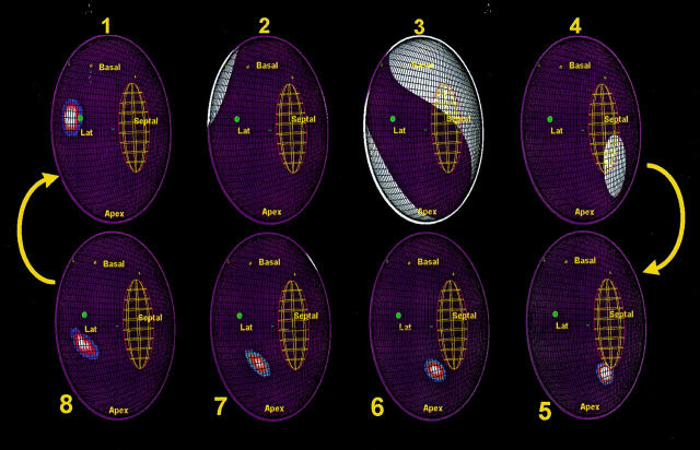 Figure 5  