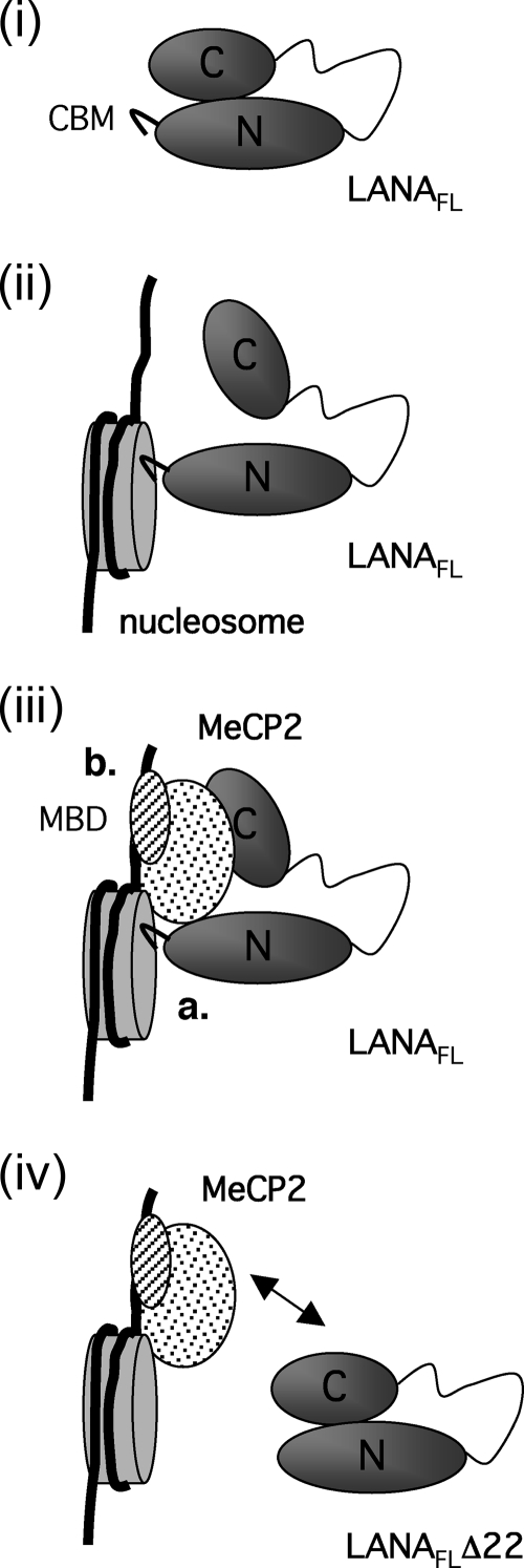 FIG. 8.