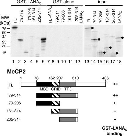 FIG. 6.