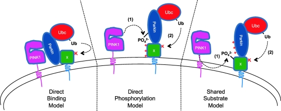 FIG. 3.