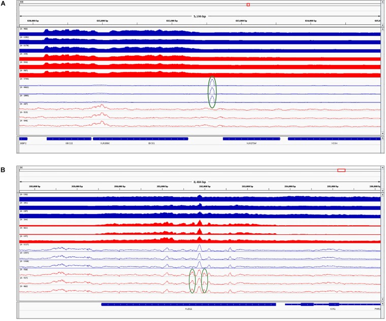 FIGURE 4