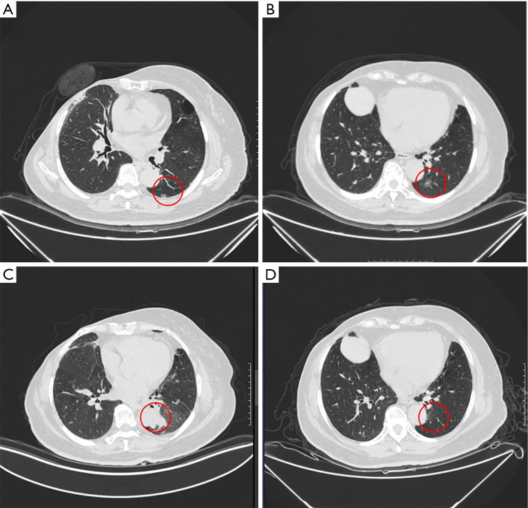 Figure 5