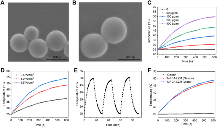 Figure 1