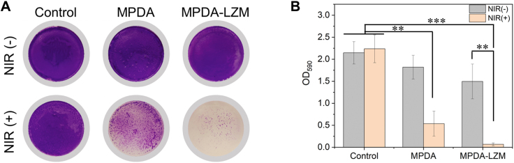 Figure 2