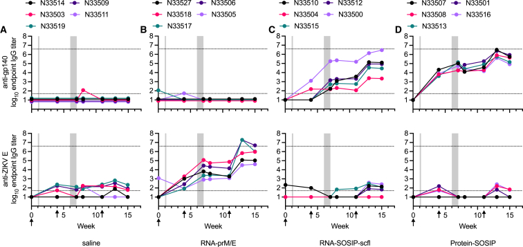 Figure 5