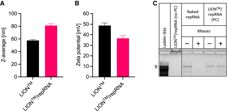 Figure 13