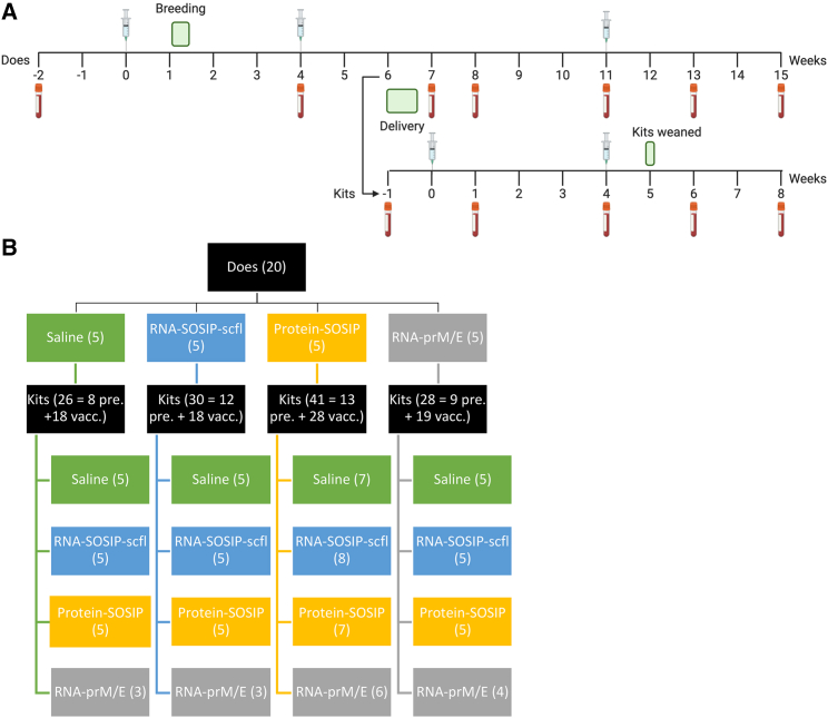 Figure 3