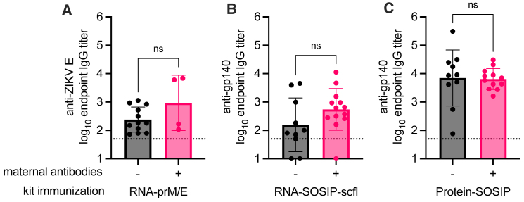 Figure 11