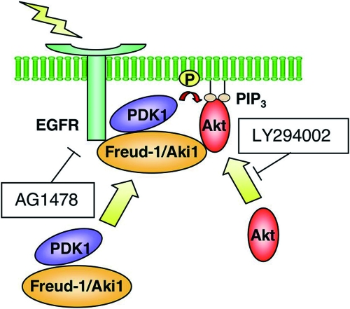 FIG. 7.