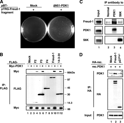 FIG. 1.