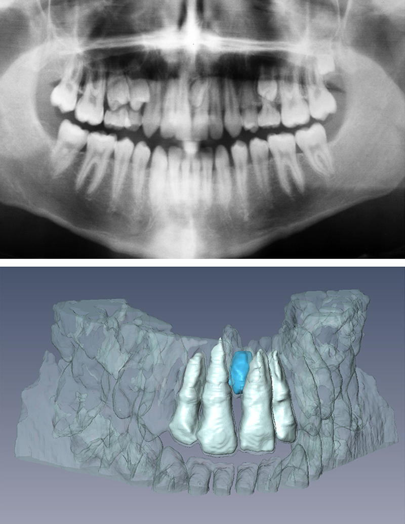 Fig. 8