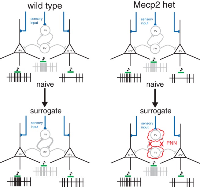 Figure 10.