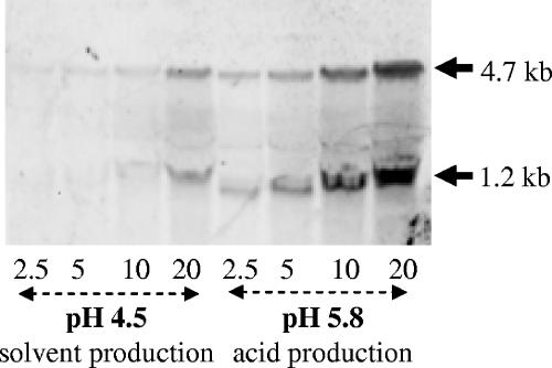 FIG. 8.