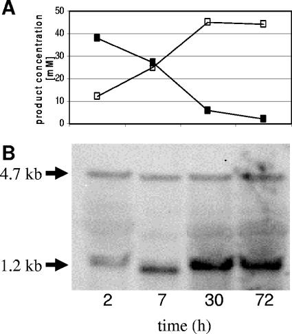 FIG. 7.