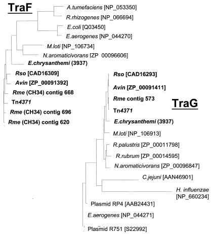 FIG. 4.