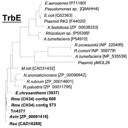 FIG. 4.