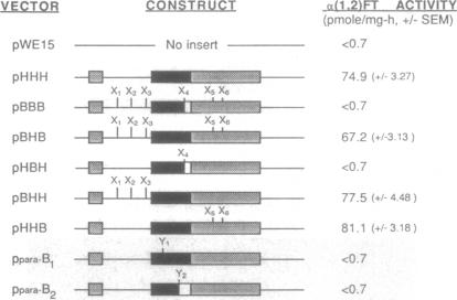 graphic file with name pnas01135-0120-a.jpg