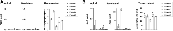 Fig. 4