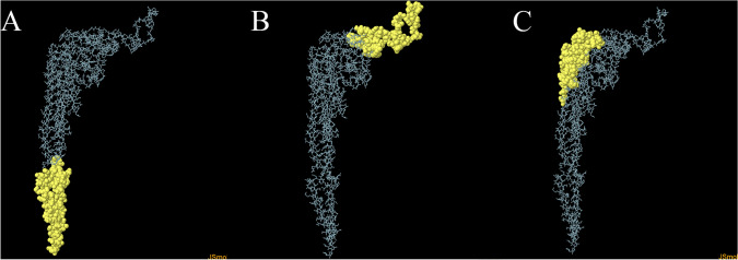 Fig. 4