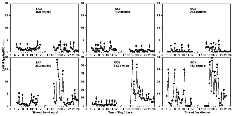 Figure 7