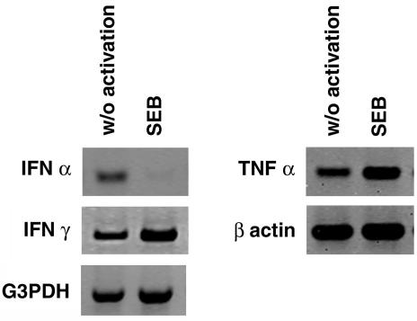 FIG. 9.