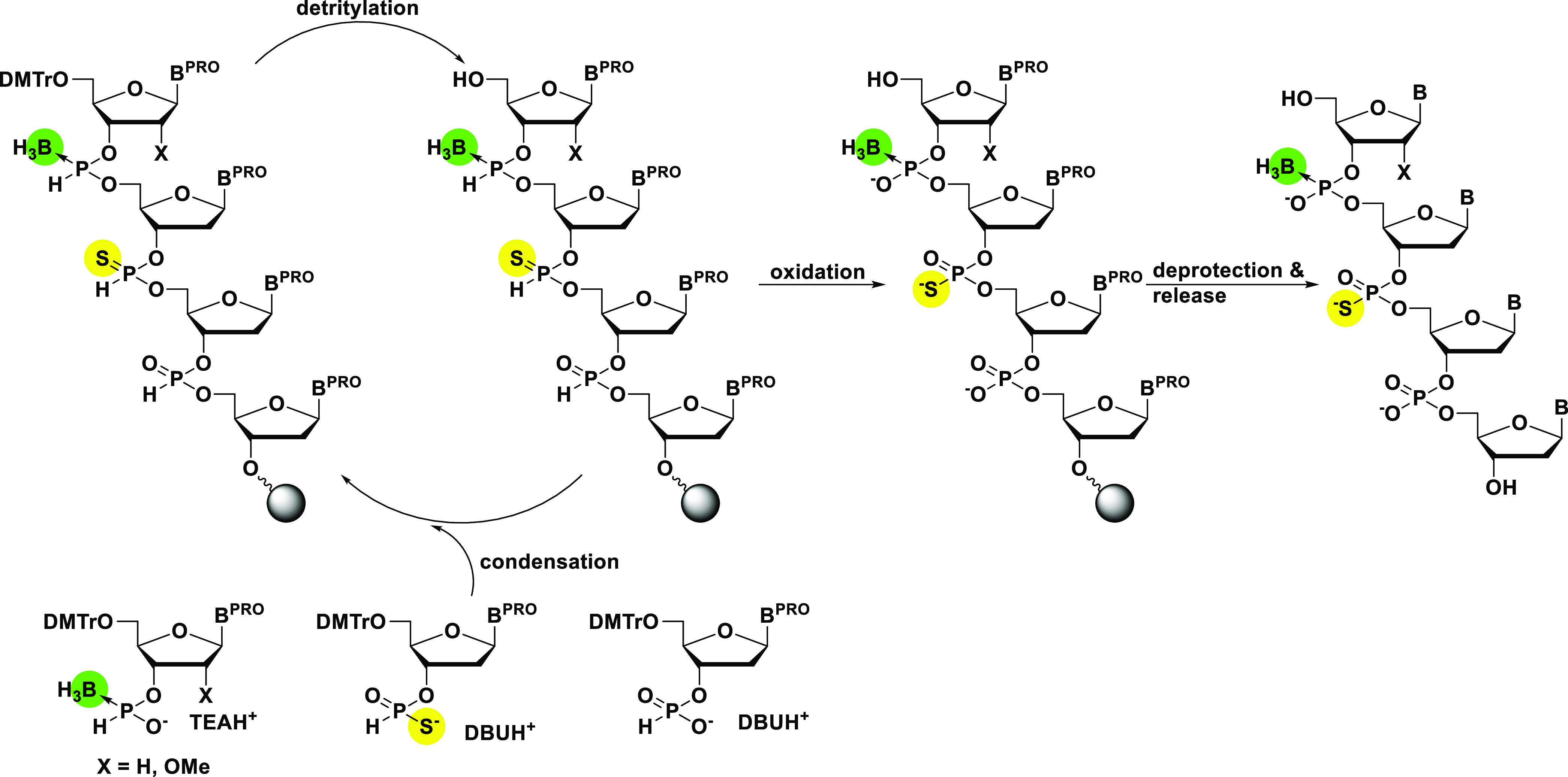 Scheme 1