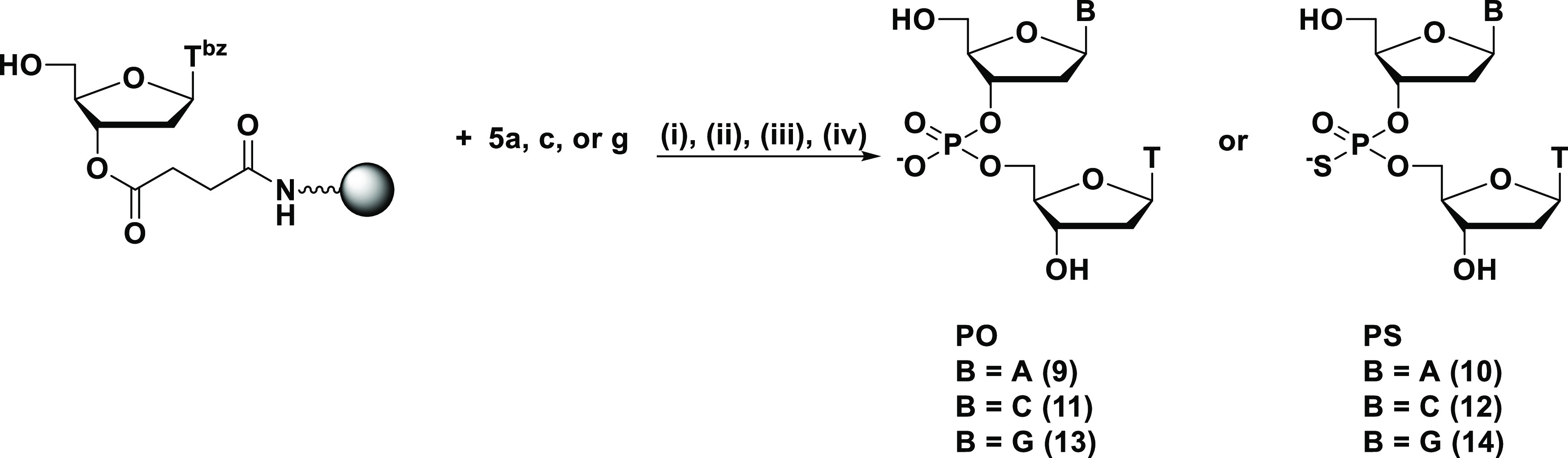 Scheme 5