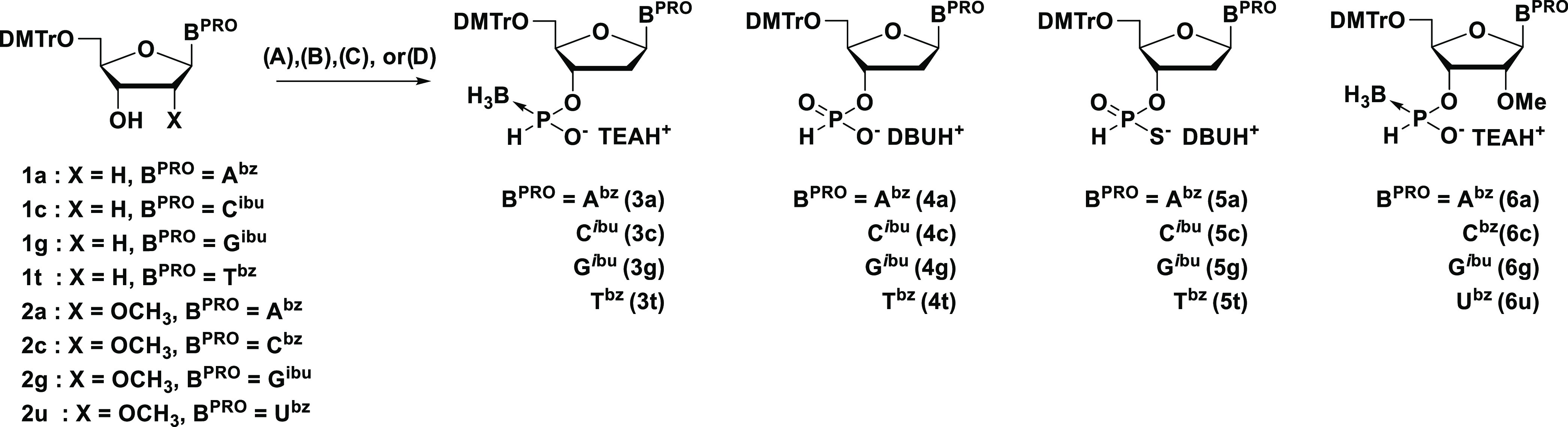 Scheme 2