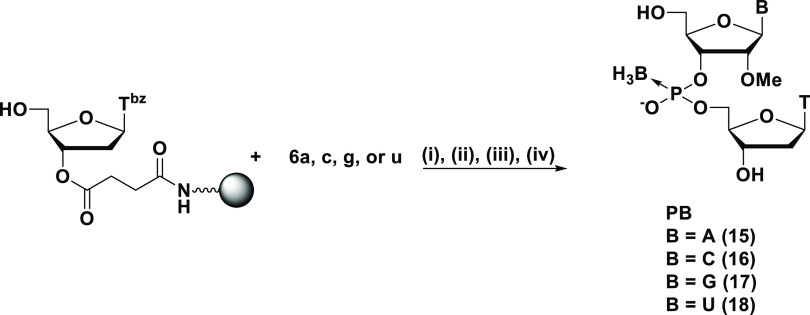 Scheme 6