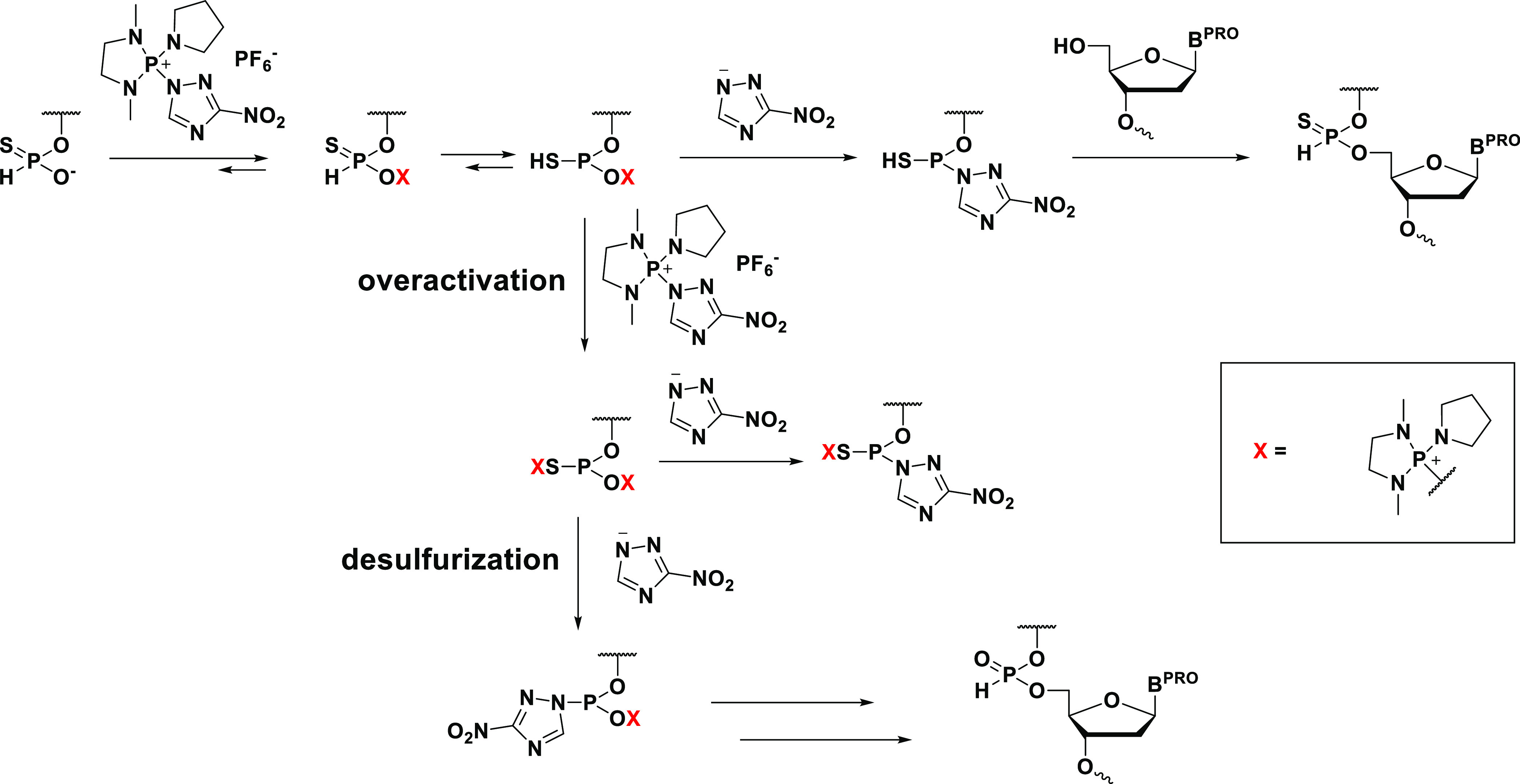 Scheme 4