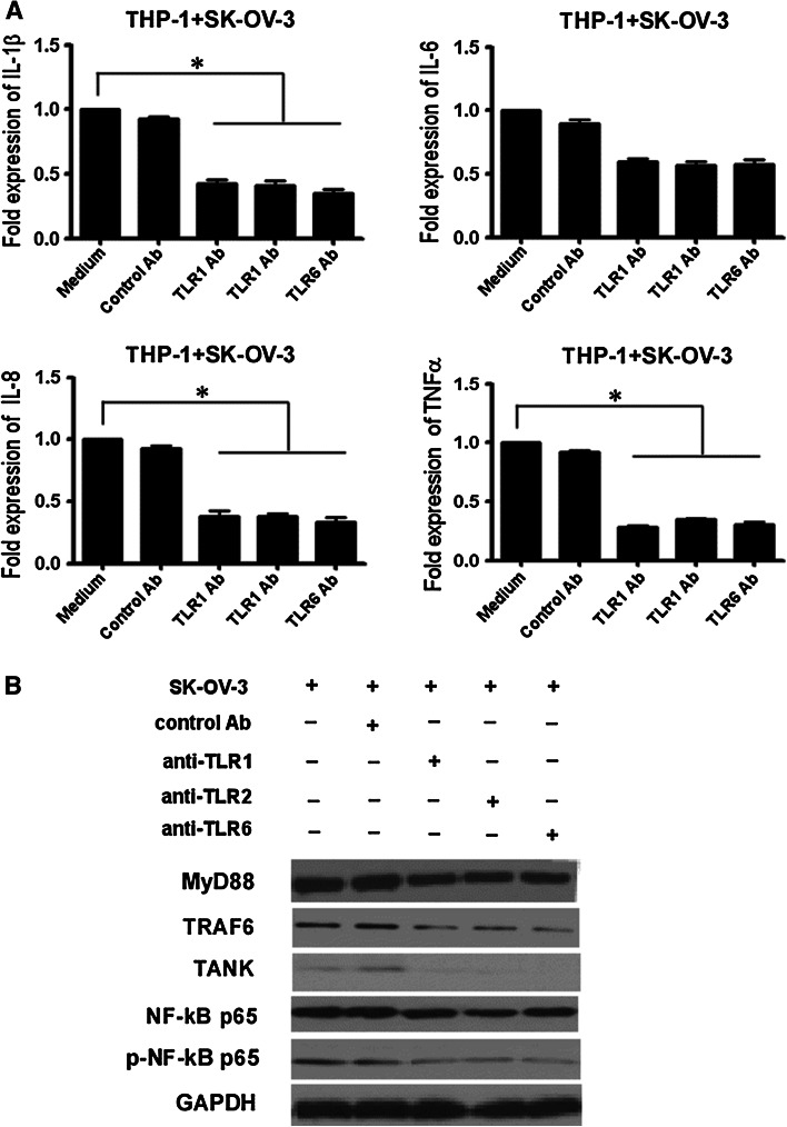 Fig. 4