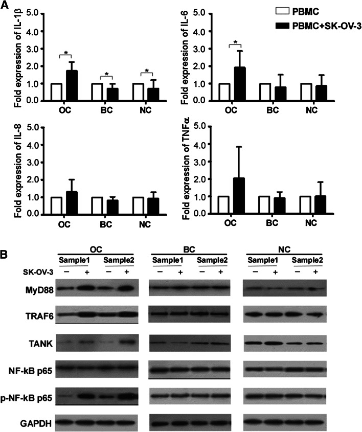 Fig. 3