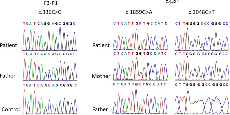 Fig 1