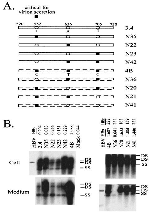 FIG. 5.