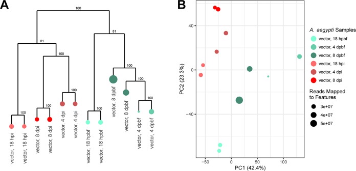 FIG 6