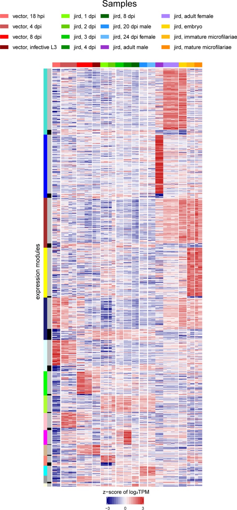 FIG 3