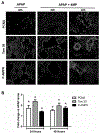 Figure 7: