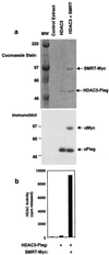 FIG. 8