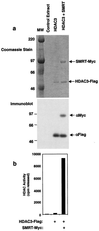 FIG. 8