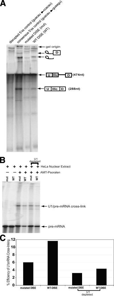 FIGURE 9.