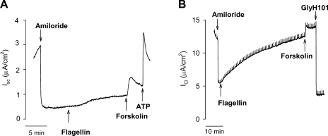 Fig. 4.