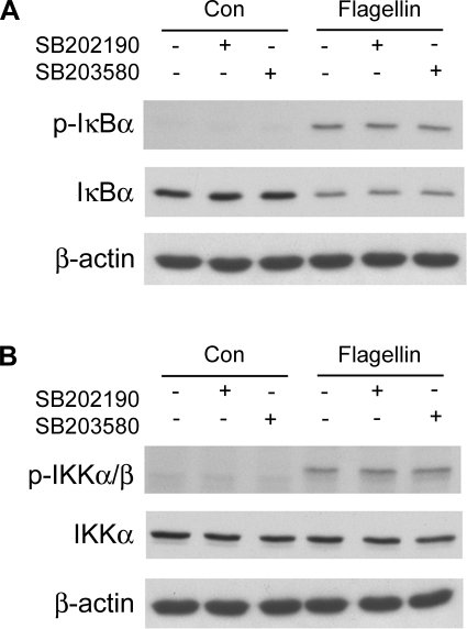 Fig. 10.