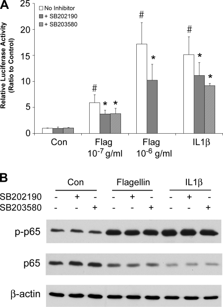 Fig. 9.