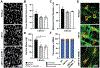 FIGURE 5: