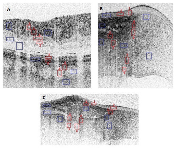 Fig. 1