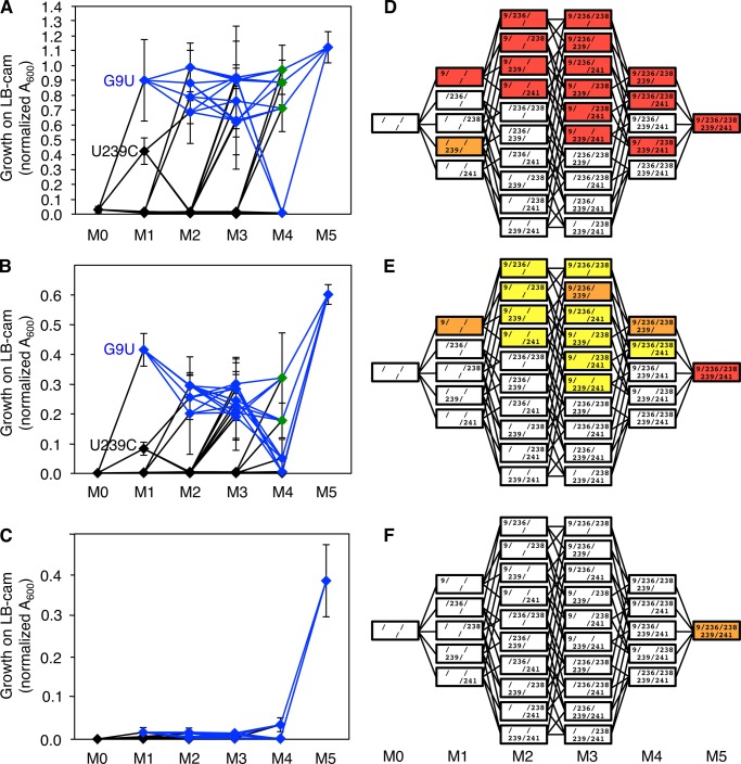 FIGURE 7.